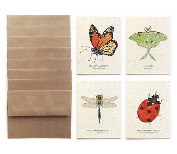 "Insects" Card Set - Bower Studio